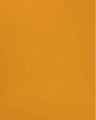 XRZ - Clementine Orange